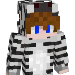 HiroZebra Minecraft avatar bust
