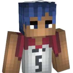 Hisoka__4_4 Minecraft avatar bust