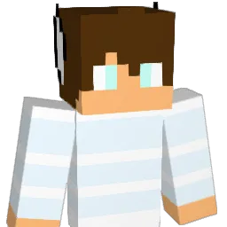 Hixerii2007 Minecraft avatar bust