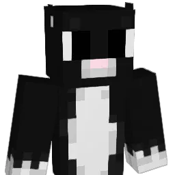 Hnk0_ Minecraft avatar bust