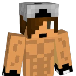 HoIden Minecraft avatar bust