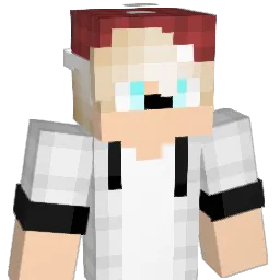 Hockey17rules Minecraft avatar bust