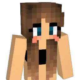 HoePatrol1