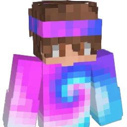 Hoim8 Minecraft avatar bust