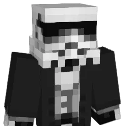 HokaPoka812 Minecraft avatar bust