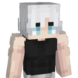 Hokai_ Minecraft avatar bust