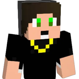 Hokus__Pokus Minecraft avatar bust