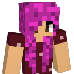 HolyChips Minecraft avatar bust