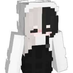 HolyTikTok's Minecraft skin