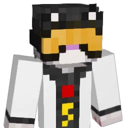 HomieStirFryTTV