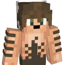 HoneycombCatBee Minecraft avatar bust