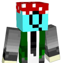 HongFeng516 Minecraft avatar bust