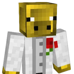 HoodyLAX05 Minecraft avatar bust