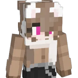 Hopje9 Minecraft avatar bust