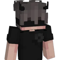 Hoshi_27 Minecraft avatar bust