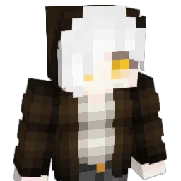 Hoswy_ Minecraft avatar bust