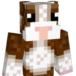 HotForBoys219 Minecraft avatar bust