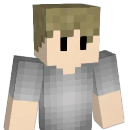 Hotwheels1524 Minecraft avatar bust