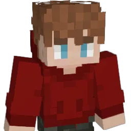 Houston6mc Minecraft avatar bust