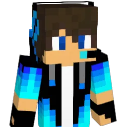 Hovercraft11 Minecraft avatar bust
