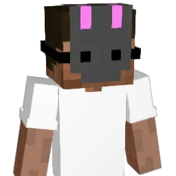 How2Display's Minecraft skin
