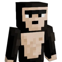 Howyoudoin_'s Minecraft skin