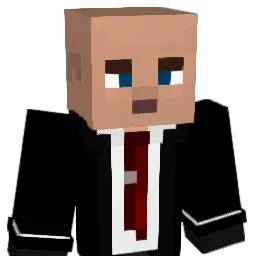 HrStig_ Minecraft avatar bust