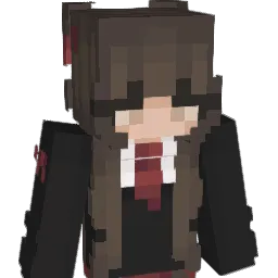 Hsj1018 Minecraft avatar bust