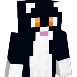 Hsteve25 Minecraft avatar bust