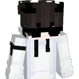 Htageur Minecraft avatar bust