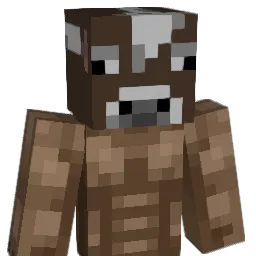 Hubite Minecraft avatar bust
