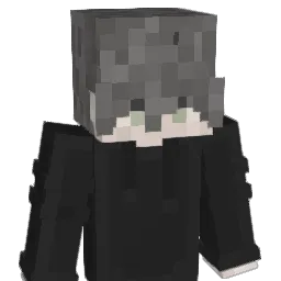 Hubschraubeer Minecraft avatar bust