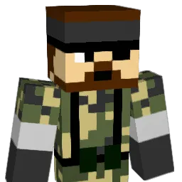 Hugo13820 Minecraft avatar bust
