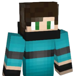 Huiswerk Minecraft avatar bust