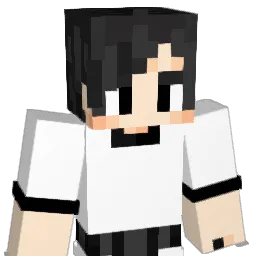 Humanmusic69v2 Minecraft avatar bust