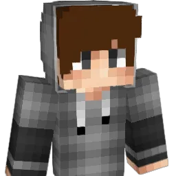 Hupi_1 Minecraft avatar bust