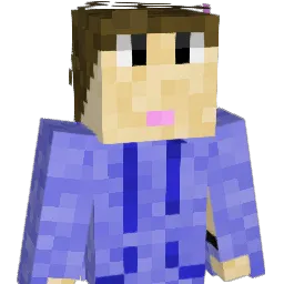 Hushups Minecraft avatar bust