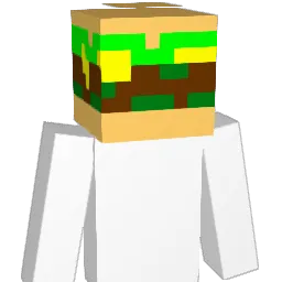 Huuskone98 Minecraft avatar bust