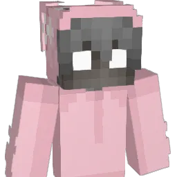 Hwydy Minecraft avatar bust