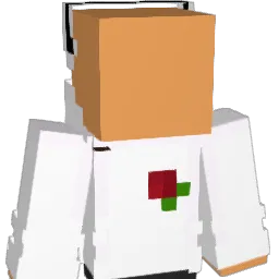 I619 Minecraft avatar bust