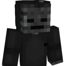 IBIMSMIO Minecraft avatar bust
