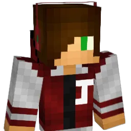 IBOOMERI Minecraft avatar bust