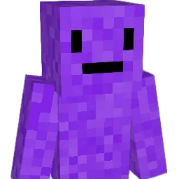 IBRINDOOM08 Minecraft avatar bust