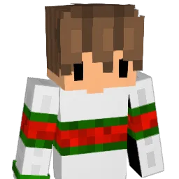 IBims1pRo1 Minecraft avatar bust