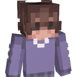 ICHWElSSESNlCHT Minecraft avatar bust