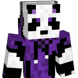IChpmnk Minecraft avatar bust