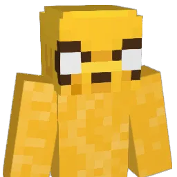 IDDDI Minecraft avatar bust