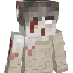 IDNKMN Minecraft avatar bust