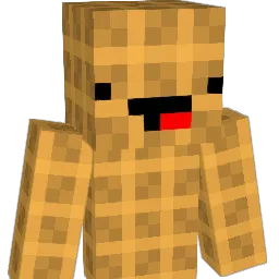 IDUNNO11 Minecraft avatar bust