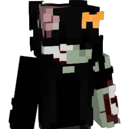 IDina4kaI Minecraft avatar bust